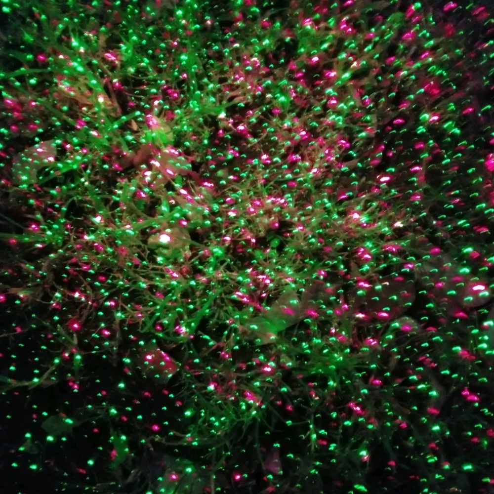 Meet your Posher, Leigh